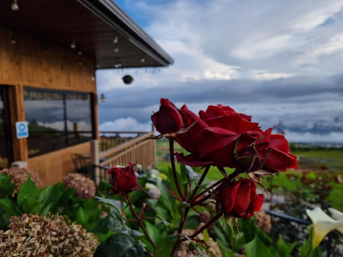 Hotel Cabanas Y Mirador Secret Garden Cr Cartago Zewnętrze zdjęcie