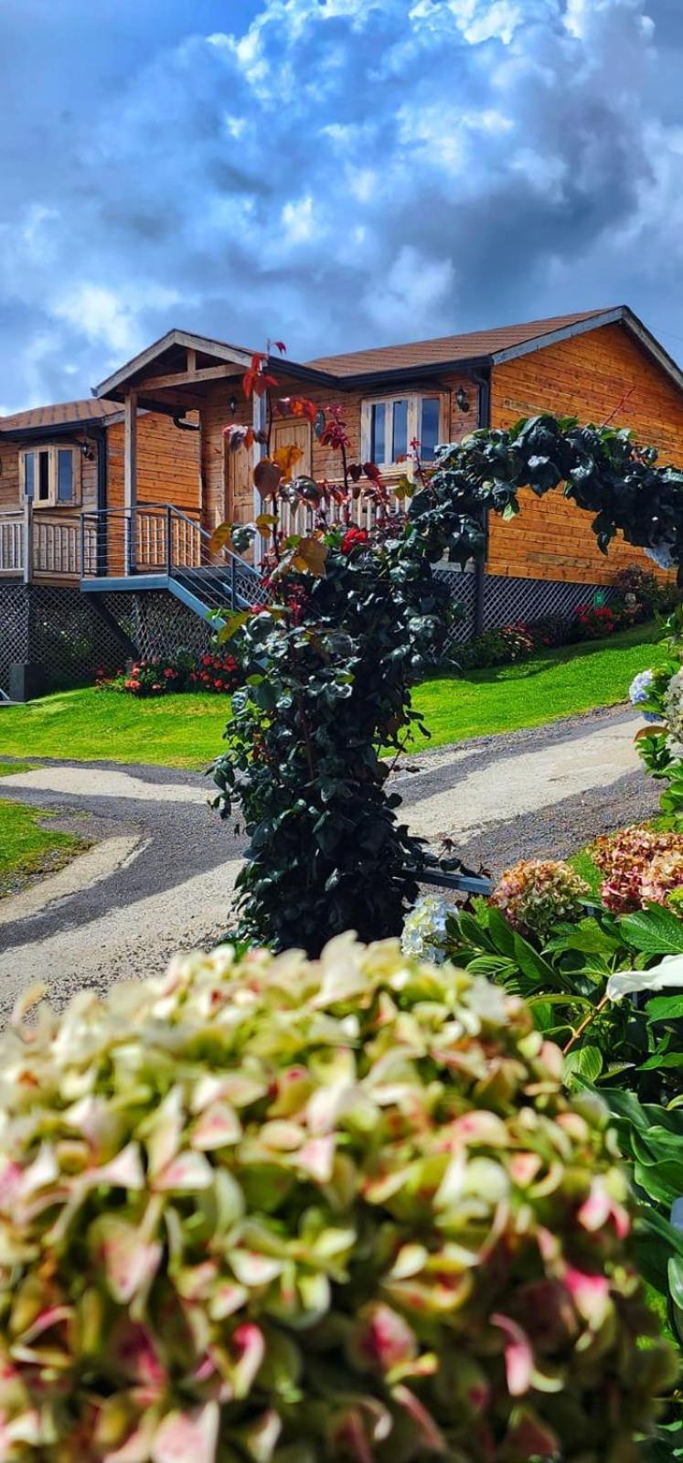 Hotel Cabanas Y Mirador Secret Garden Cr Cartago Zewnętrze zdjęcie